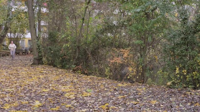 Middle aged woman Woman jogging in nature, suddenly stops, holds chest in pain, fitness danger, medical emergency, sudden cardiac symptom