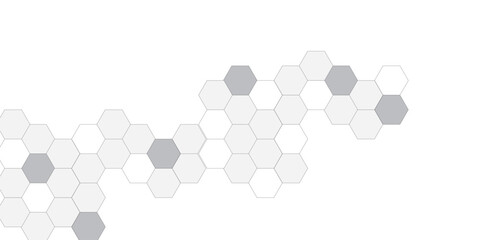 Abstract white hexagon pattern background. Abstract hexagon technology design background. Futuristic honeycomb mosaic white background. Vector Illustration