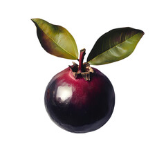Vibrant Closeup A Single Dark Purple Fruit with Lush Green Leaves isolated on transparent background