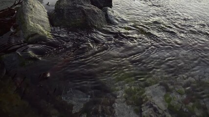Freshwater Small Creeks Flowing Through Rocks; meet and reunite