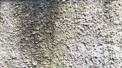 molded popcorn drywall. dirty textured wall.