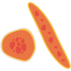 Tuberculosis Bacteria. Microbe icon vector image. Can be used for Tuberculosis.