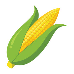 A single plump ear of corn with a few kernels visible, isolated on white, for agriculture, harvest, food, or organic.