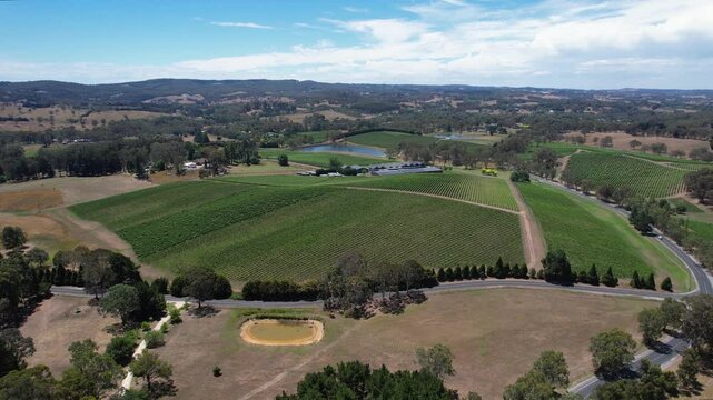 Aerial view of Shaw and Smith Vineyard in rolling hills, Australia.