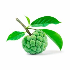 Fototapeta premium high-quality product photography shot of a single green cherimoya fruit against a pure white background