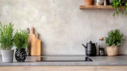Modern kitchen counter with herbs and accessories