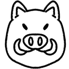 Boar