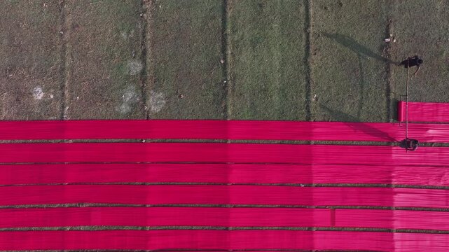 Aerial view of vibrant agricultural fields, Bangladesh.