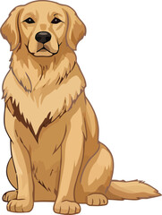 cute golden retriever puppy dog sits happily, an adorable purebred canine with a yellow coat, isolated on a white background