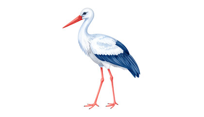 Elegant stork gracefully standing on one leg.