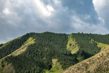 landscape with mountains and blue sky in summer