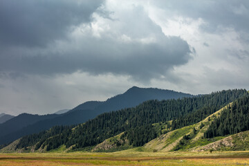 mountain landscape in the summer