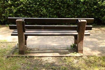 Ukraine. Kyiv. A bench in a summer park. There are many trees and bushes around.