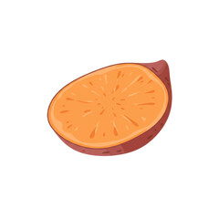 A vibrant slice of sweet potato showcasing its rich orange color and texture