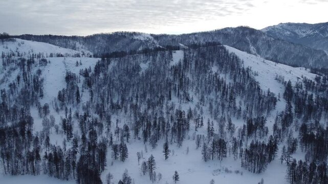 Drone footage of snowy mountains, valleys, and forests in Ust-Koksa, Altai Republic, Russia, under clear skies, showing the remote region&rsquo;s beauty during winter.