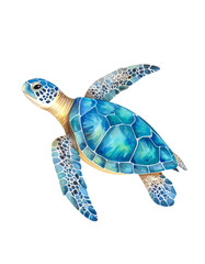 Colorful sea turtle swimming in clear water.