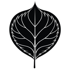 A bold black silhouette of a poplar (Populus) leaf,