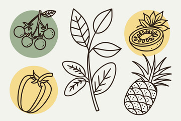 A simple line drawing of fresh garden fruits and vegetables on white