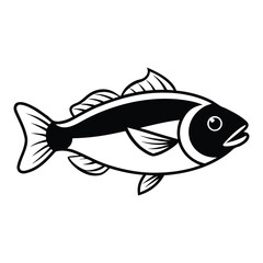 fish vector illustration