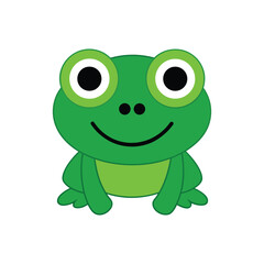 frog vector illustration  