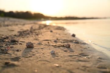 photo shoot of a woman in a white pareo and a black swimsuit at sunset on the beach