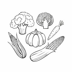 Set of black outline vegetable icons. Hand drawn drawings of carrot, cabbage, broccoli, corn, pumpkin. Sketch food illustration. Doodle silhouettes of ...