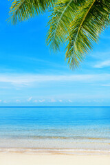 Tropical island nature, paradise sea beach, palm tree leaf, white sand, clear ocean water, sunny sky clouds, beautiful exotic landscape, summer holiday, vacation, travel, Caribbean, Thailand, Maldives