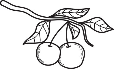 Hand-drawn Line Art: Two Cherries on a Branch with Detailed Leaves
