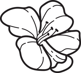 Cherry Flower Outline Illustration, Monochromatic Line Art Illustration of a Simple Blossom