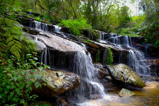 Waterfall in a rainforest