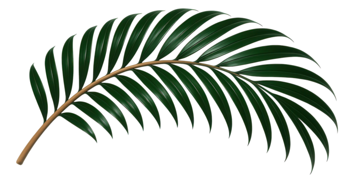 Coconut palm frond with long, arching leaflets and glossy surface - Powered by Adobe
