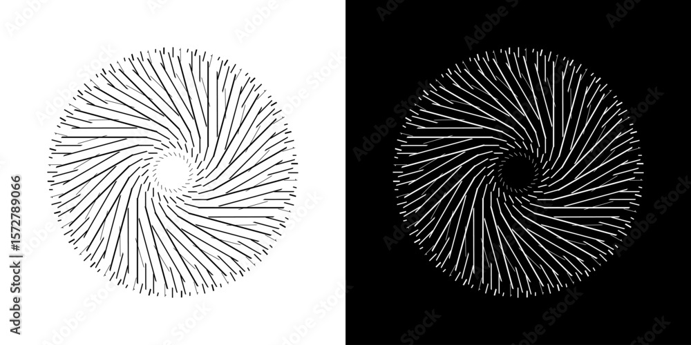 Fototapete Abstract background with line pattern forming circle. Spiral art design as logo or icon. Black lines on white background and same white lines on black side. Mandala with line pattern.