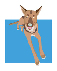 Abstract Dog portrait Illustration flat design on blue and white background.Adorable pet cartoon style.Digital Hand drawn for wall art,clip art,poster,web,poster,T-shirt,greeting card,print decor