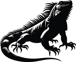 Realistic Iguana engraving Silhouette Vector illustration isolated on a white background