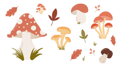 Autumn forest mushrooms vector set with fall leaves. Flat illustration for cards, patterns, stickers, packaging.