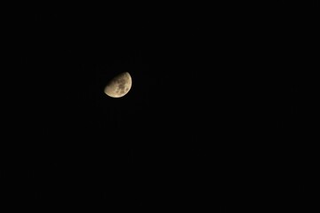 half moon shining floating on sky in night 