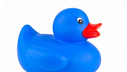 rubber duck  blue on white background