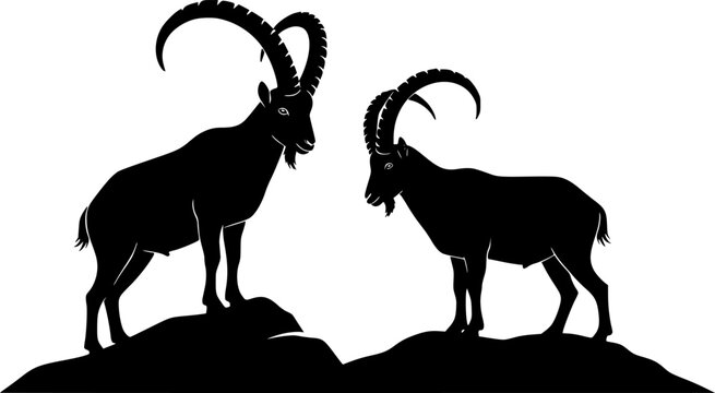 Two ibex silhouettes one standing on a rock the other on the ground in a black and white illustration editable vector