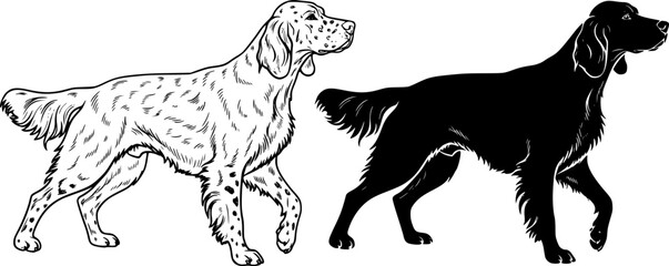 Illustration of two english setter dogs one in outline and one in solid black silhouette style image editable vector