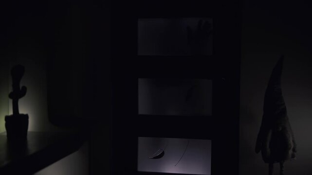 The ominous shadow of a man appears on the glass door to a dark room.