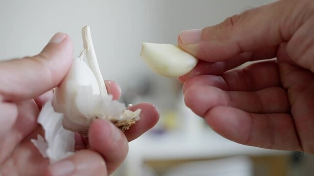 A detailed closeup of hands skillfully peeling a garlic bulb, ideal for various culinary projects and food preparation. Slow motion