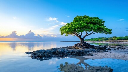 Serene sunset silhouette of a single tree standing proudly on a rocky outcrop in calm ocean water, reflecting peaceful tranquility and natural beauty at the shoreline.