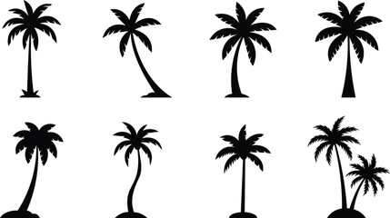 Set of tropical palm trees and coconut tree silhouette. Palm tree silhouettes set. Design Of Palm Trees For Posters, Banners, And Promotional Items. Vector Illustration. © konok3001
