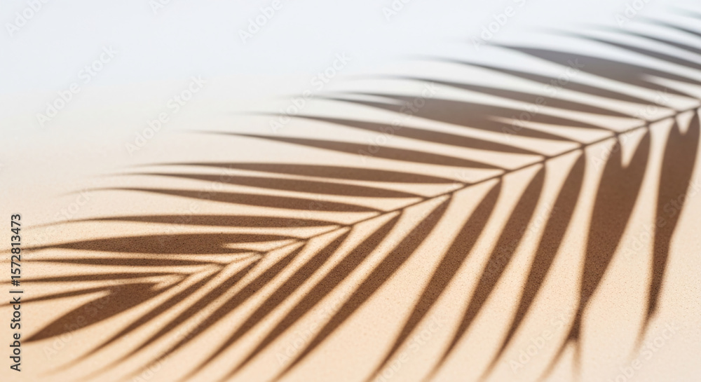 Poster palm leaf shadow on beige surface, creating a textured pattern, showcasing a minimalist and natural 
