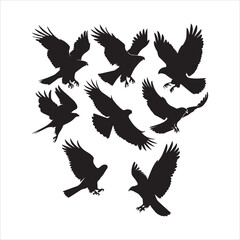 Obraz premium Flying Eagle and Hawk Silhouettes Vector Collection