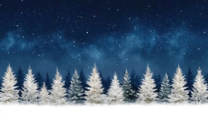 Naklejka premium Snow-covered trees in a dense forest under a clear, star-filled night sky.