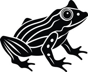 vector illustration of a frog