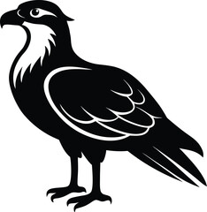 vector illustration of a bird
