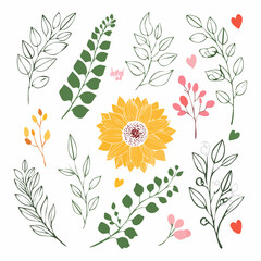 Set of line art flowers with color shapes. Lily rose eucalyptus sunflower orchid tulip lupine pion poppy. Hand drawn botanical vector illustration. Black outline silhouettes of branches and leaves