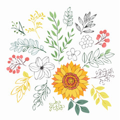 Set of line art flowers with color shapes. Lily rose eucalyptus sunflower orchid tulip lupine pion poppy. Hand drawn botanical vector illustration. Black outline silhouettes of branches and leaves